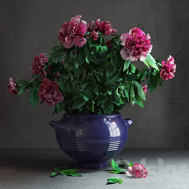 Peony Garden 3DModel