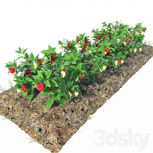 pepper 3DModel pepper 3DModel