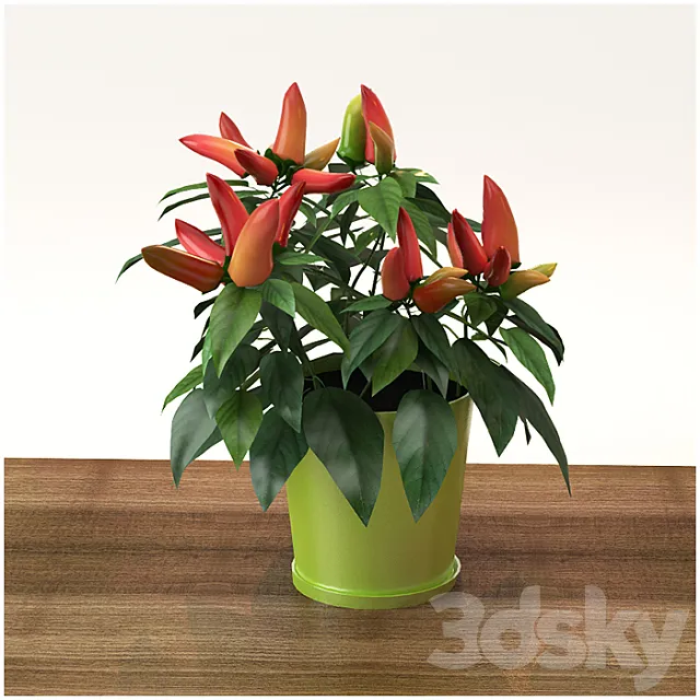 Pepper room 3DModel Pepper room 3DModel