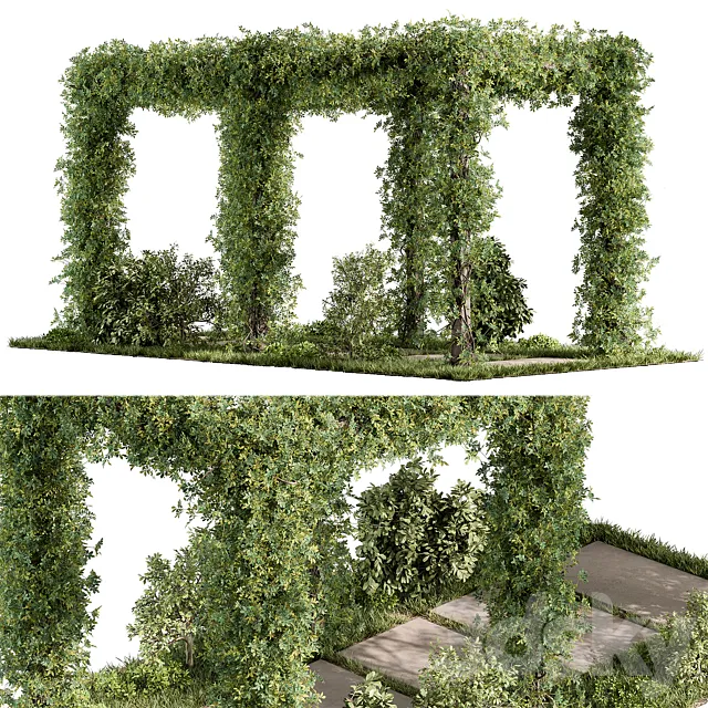 Pergola and Plant – Set 89 3D Model
