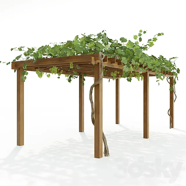Pergola with grapes 3DModel
