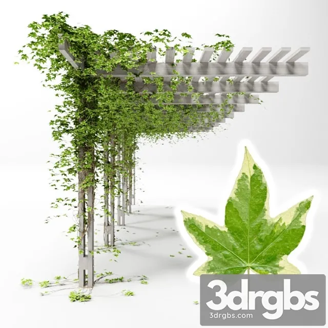 Pergola with hedera helix goldchild ivy 3D Model Download
