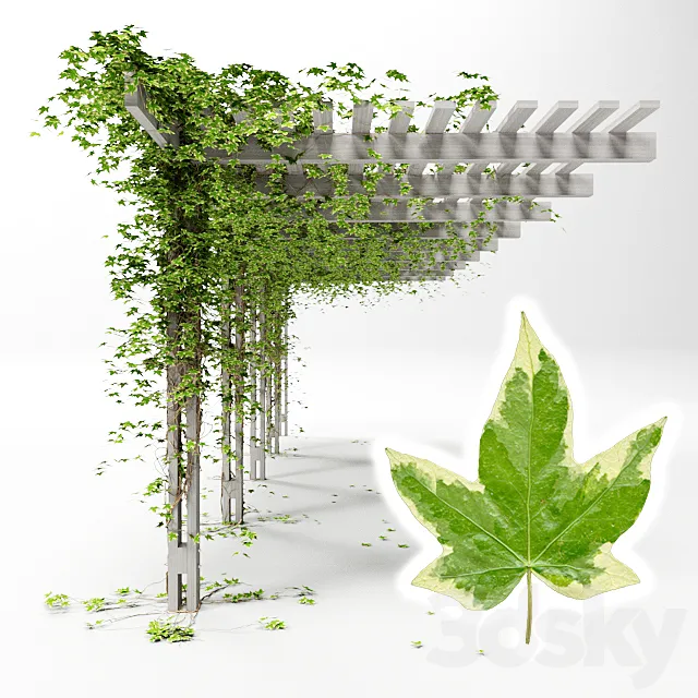 Pergola with hedera helix goldchild ivy 3D Model