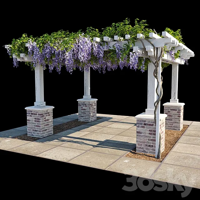 Pergola with Wisteria (Pergola with Wisteria) 3D Model