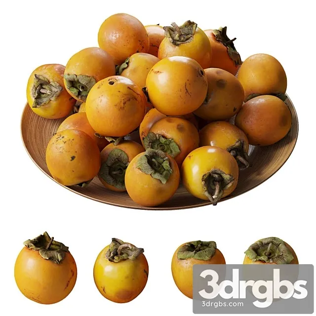 Persimmon Kinglet on a Platter 3D Model Download