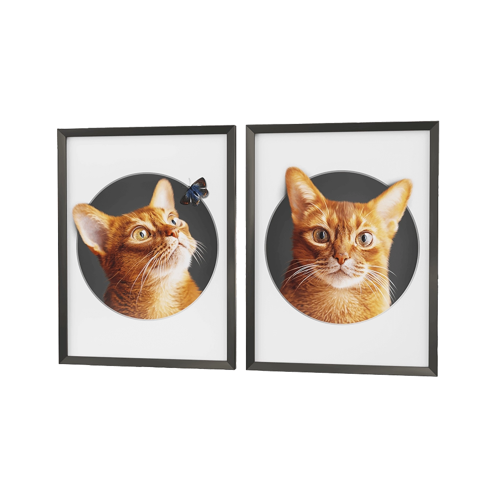 Petposter – Cat print 2 3D Model