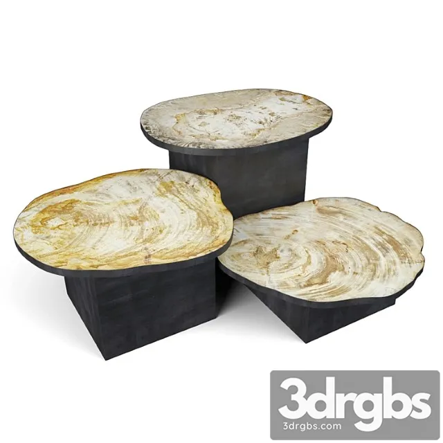 Petrified wood slice coffee tables 8 Petrified wood slice coffee tables 8