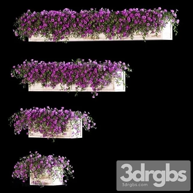 Petunia Bouquet Set 3D Model Download Petunia Bouquet Set 3D Model Download