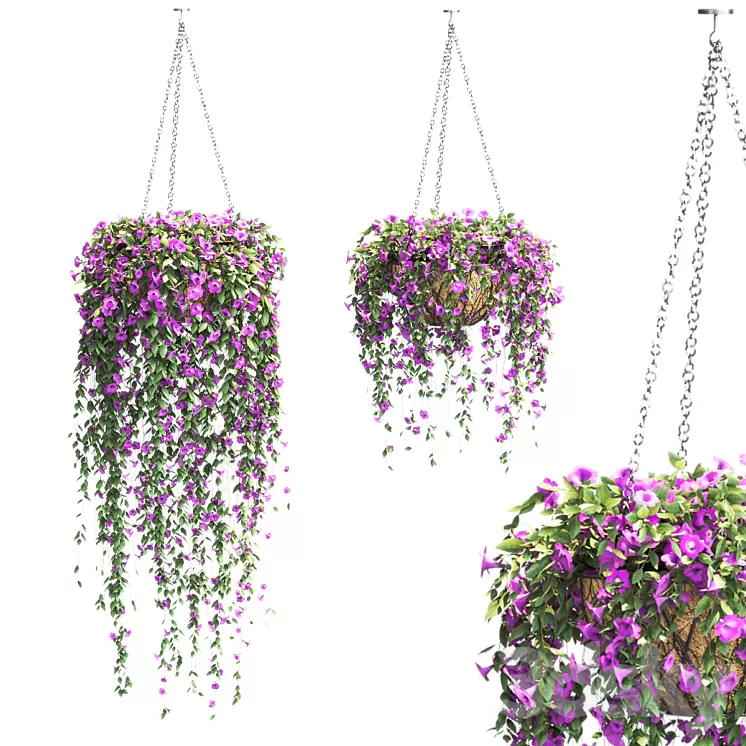 Ампельные растения для кашпо на улице фото Petunia in hanging pots. 2 models 3D Model - 3DSKY Decor Helper