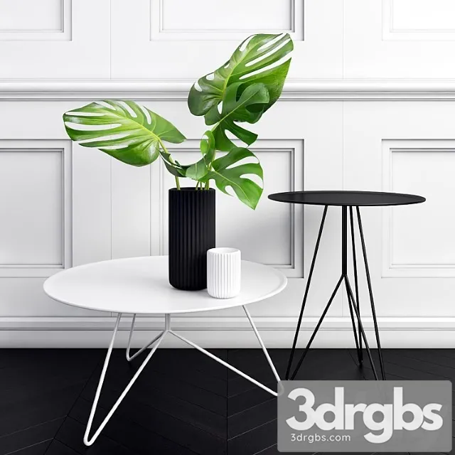Philodendron 3D Model Download