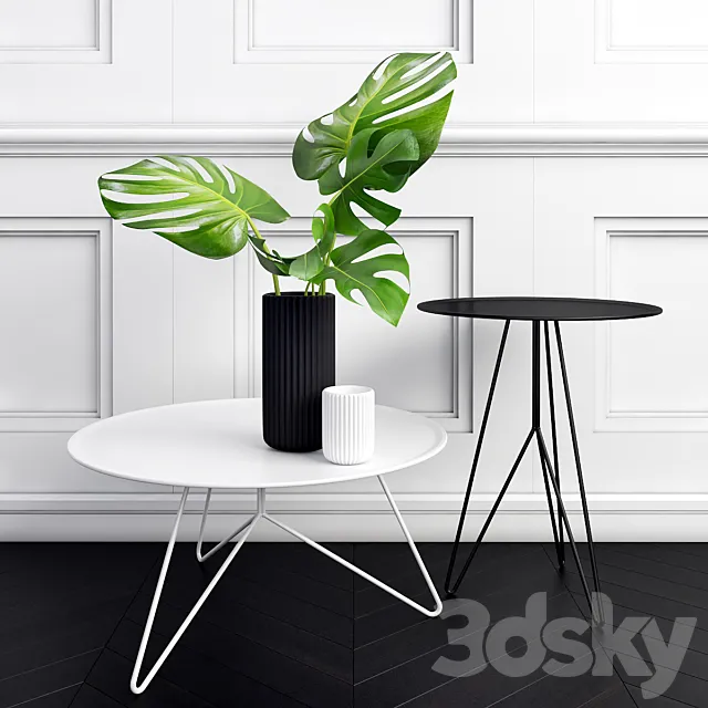 Philodendron 3D Model Philodendron 3D Model