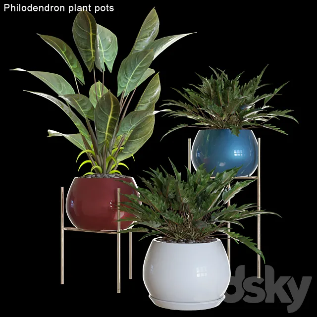 Philodendron plant pots # 2 3DModel