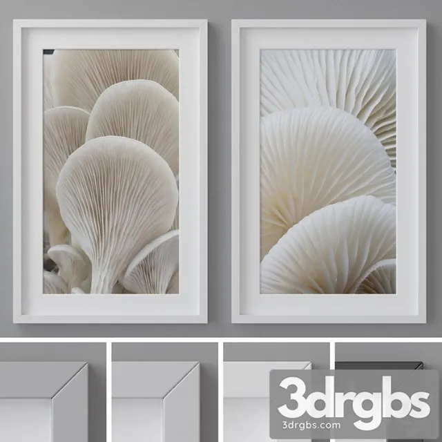 Photo frames set 260 Photo frames set 260