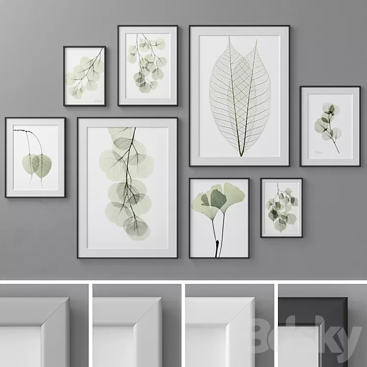 Photo Frames Set 462 3D Model