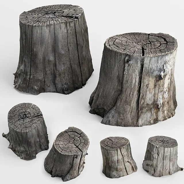 photoscan of two stumps 3DModel