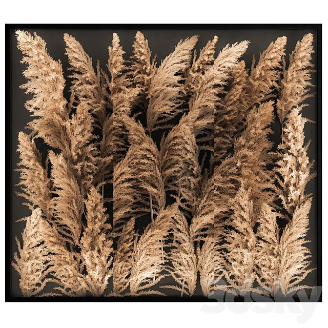 Phytostena of dried flowers behind glass made of reeds. pampas grass. wall decoration made of Cortaderia. 258. 3DModel Phytostena of dried flowers behind glass made of reeds. pampas grass. wall decoration made of Cortaderia. 258. 3DModel