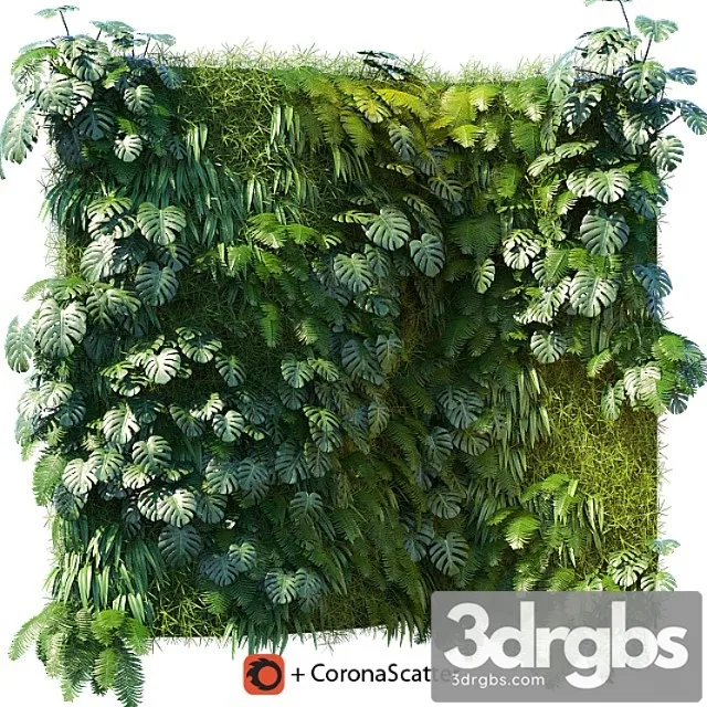 Phytowall 1 Phytowall 1