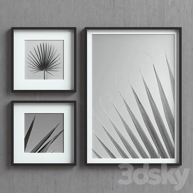 Picture Frames Set-37 3D Model
