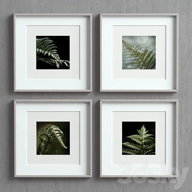Picture Frames Set-50 3DModel