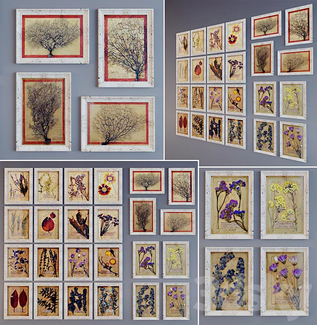 Picture Of The “Provence” 3DModel