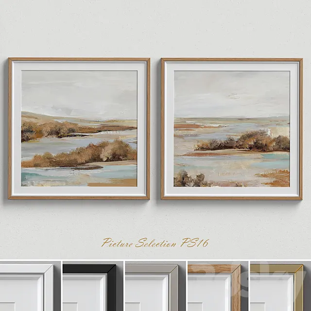 Picture Selection PS16 3D Model