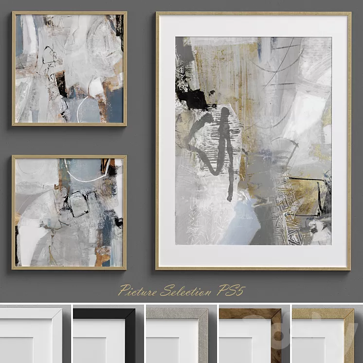 Picture Selection PS5 3D Model