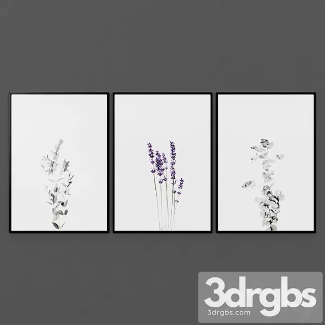 Picture Set 00054 3D Model Download