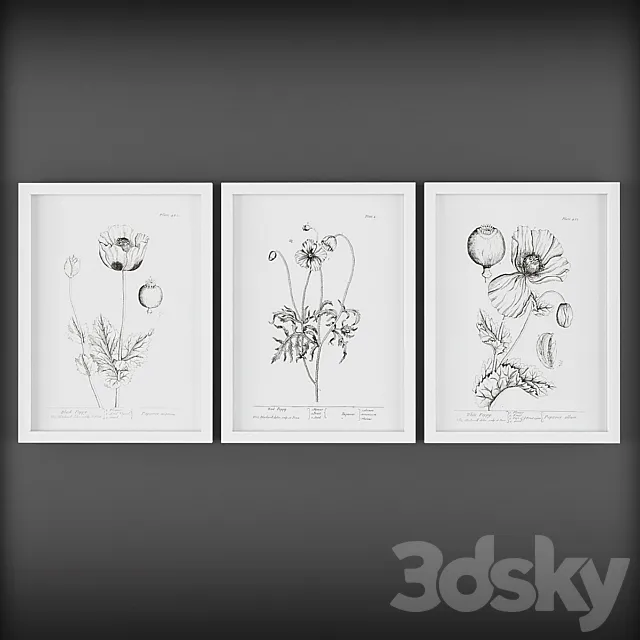 Pictures 250 3D Model Pictures 250 3D Model