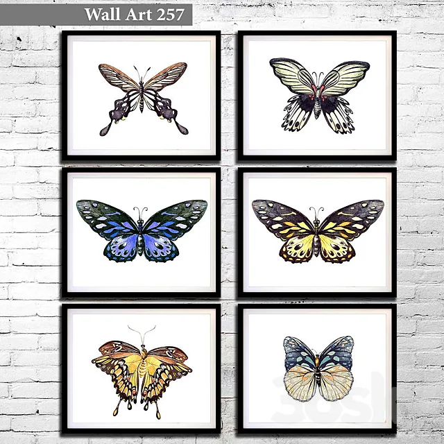 Pictures 257 3DModel Pictures 257 3DModel