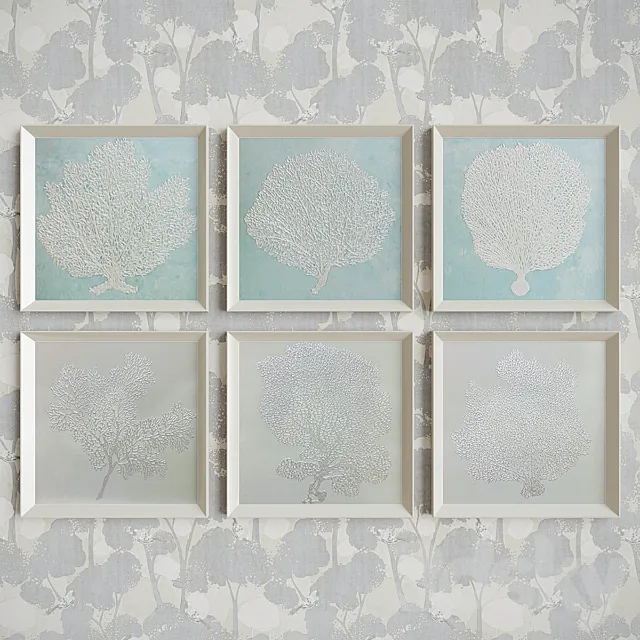 Pictures Seafan 3D Model Pictures Seafan 3D Model