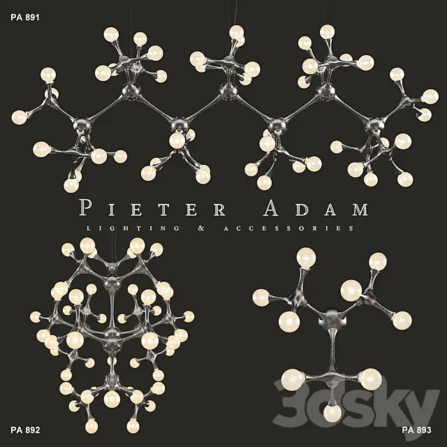 Pieter Adam Organic Atomic 3DModel
