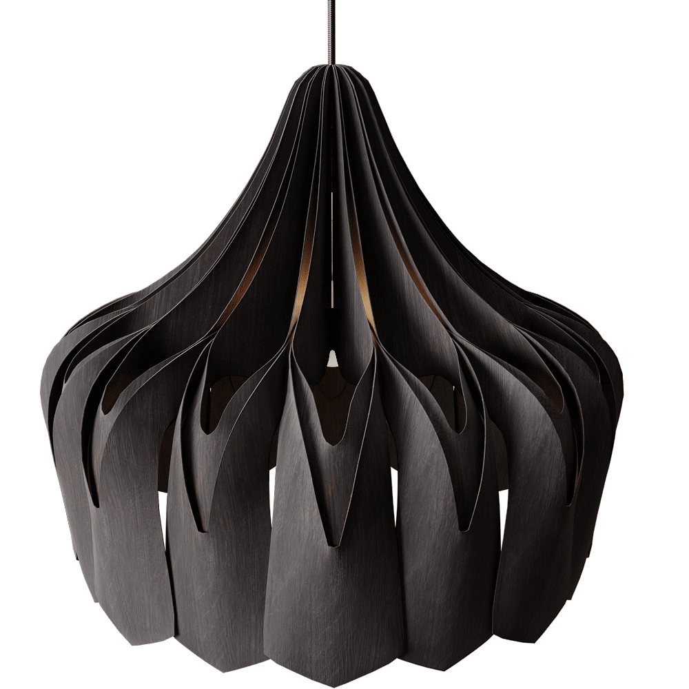 Pilke  – Pendant lamp Black Pioni L 3D Model