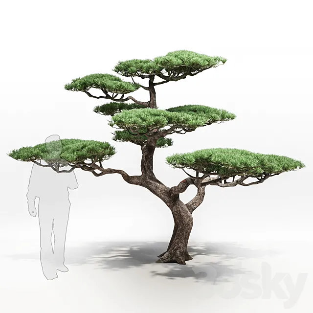 pine 3DModel pine 3DModel