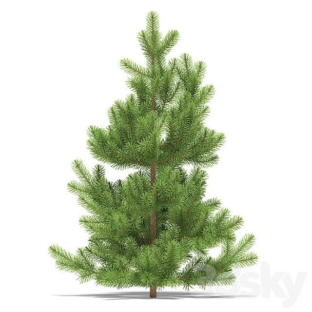 Pine 3DModel Pine 3DModel