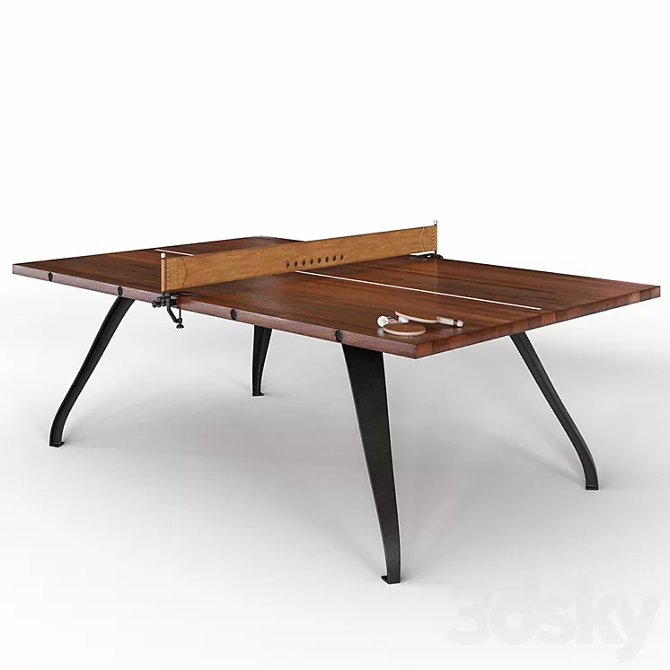 Ping pong table PING PONG TABLE – BURNT UMBER 3D Model