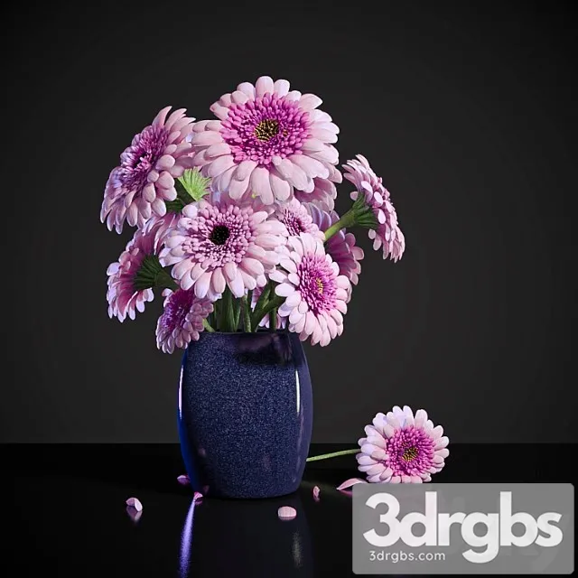 Pink Dew Gerbera 1 3D Model Download Pink Dew Gerbera 1 3D Model Download