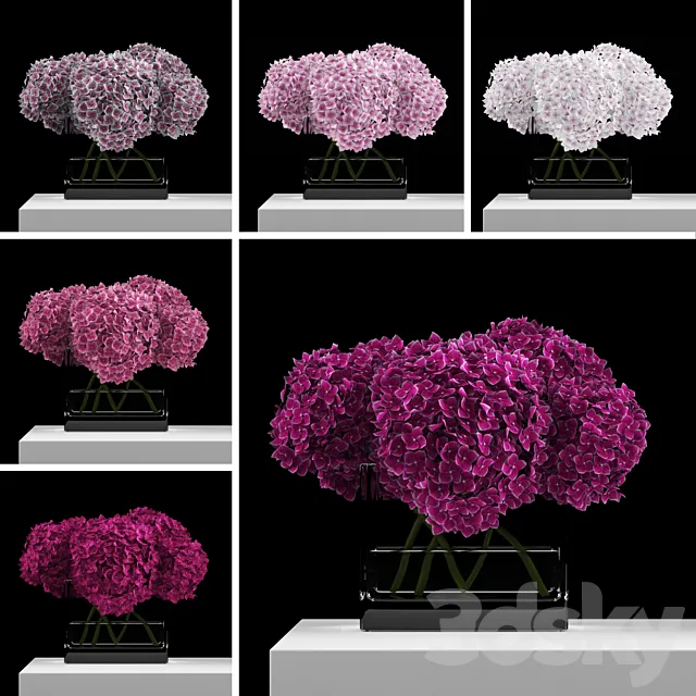 Pink hydrangeas 3D Model Pink hydrangeas 3D Model
