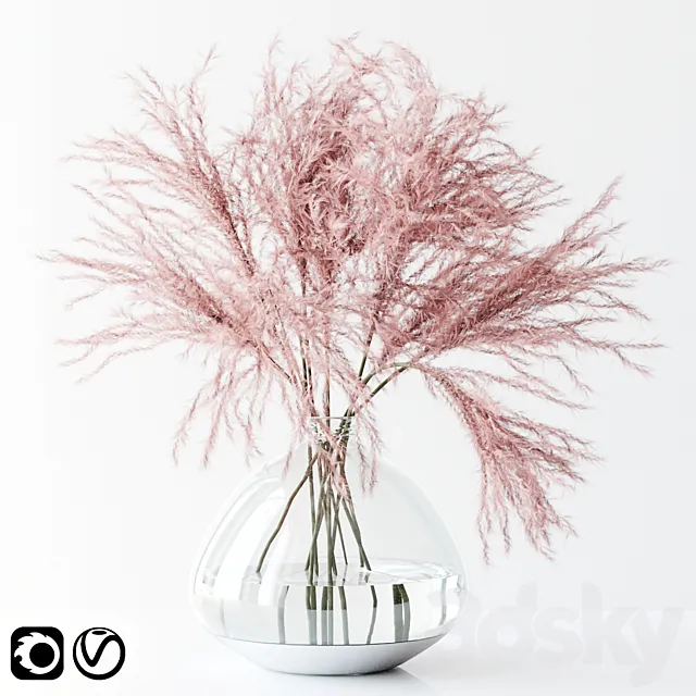 Pink pampas 3D Model Pink pampas 3D Model