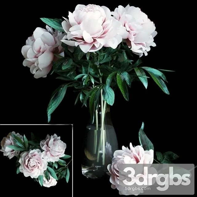 Pion Bouquet 3D Model Download Pion Bouquet 3D Model Download
