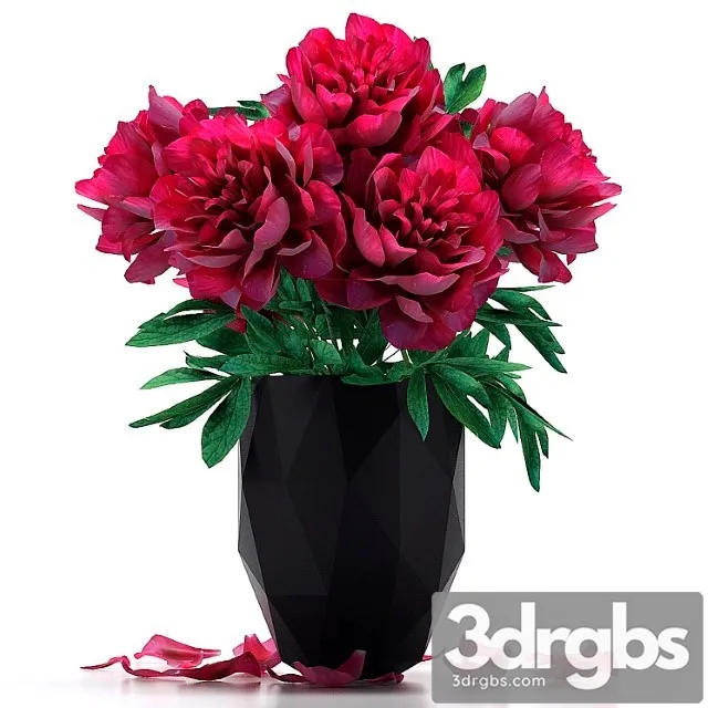 Piony 15 3D Model Download Piony 15 3D Model Download