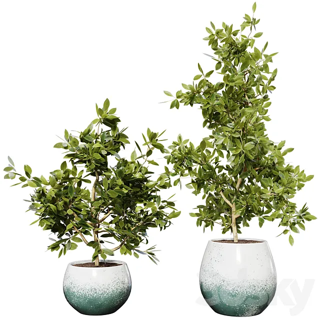 Plant 01 3DModel Plant 01 3DModel