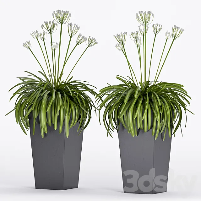 PLANT -16 3DModel PLANT -16 3DModel