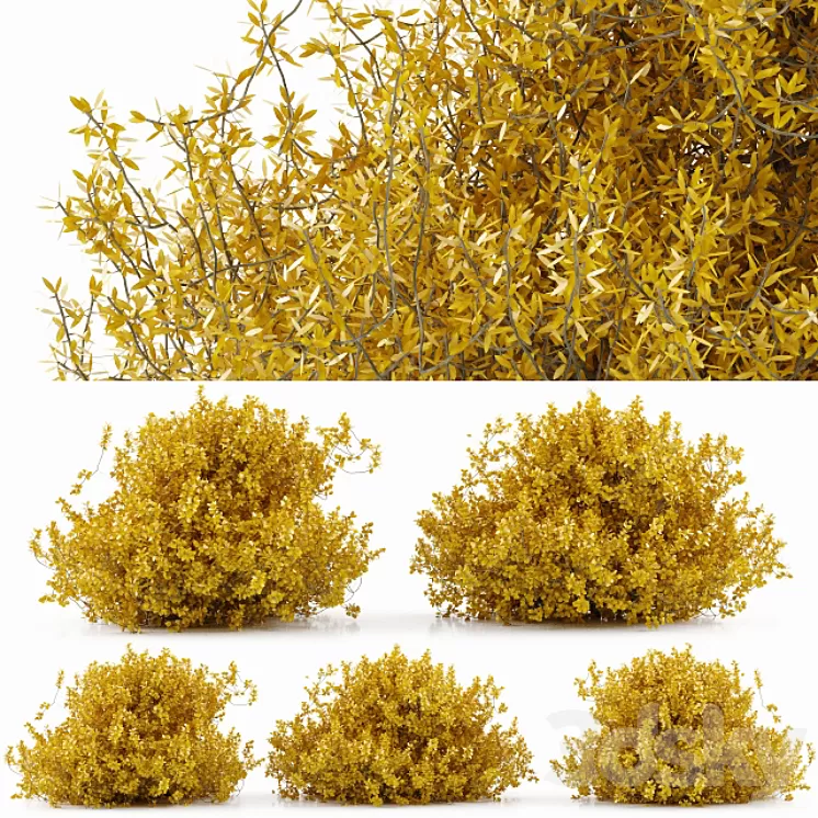 plant 28 3D Model plant 28 3D Model