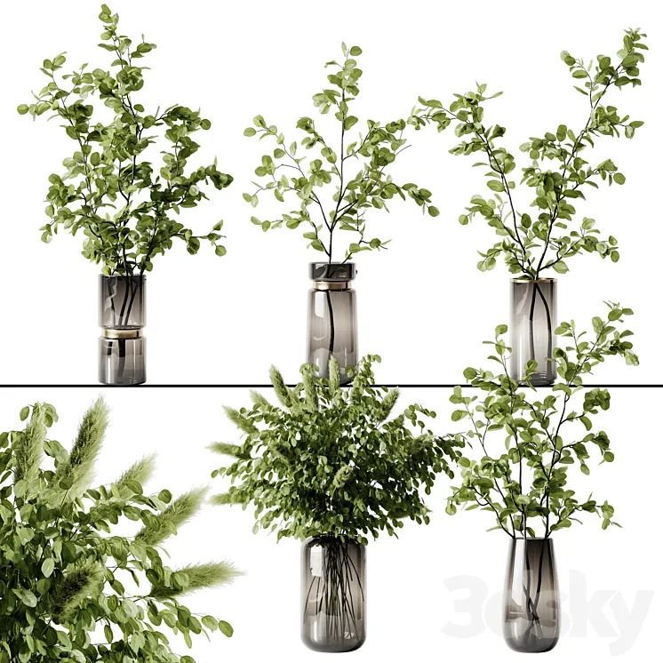 Plant 3 3D Model Free Download Plant 3 3D Model Free Download