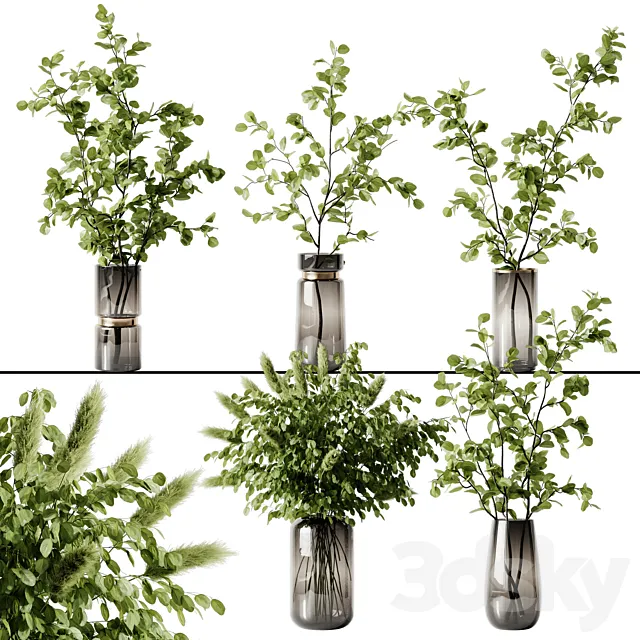 Plant 3 3D Model Plant 3 3D Model