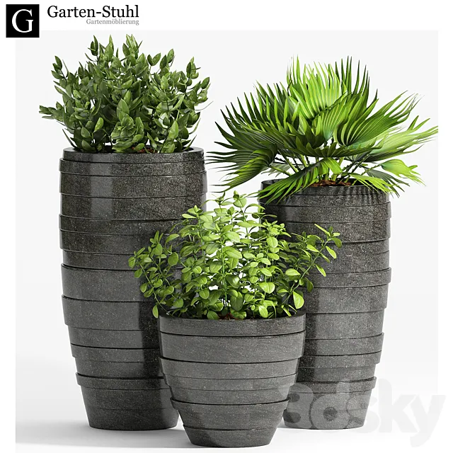 PLANT -31 3DModel PLANT -31 3DModel