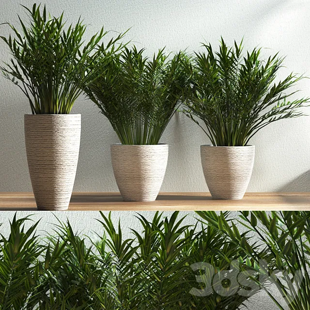 plant 38 3D Model plant 38 3D Model