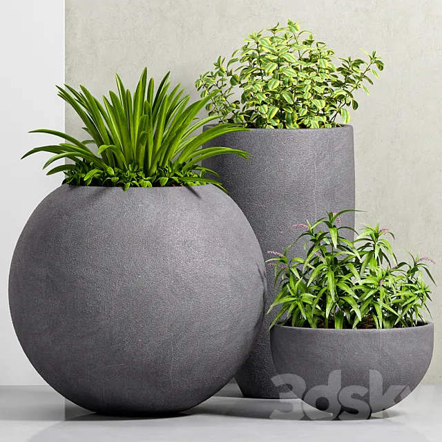 PLANT-39 3DModel PLANT-39 3DModel