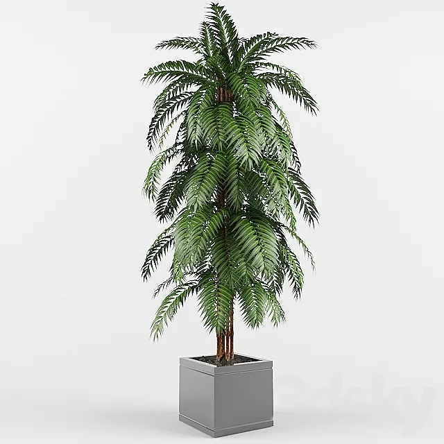 plant 3D Model plant 3D Model