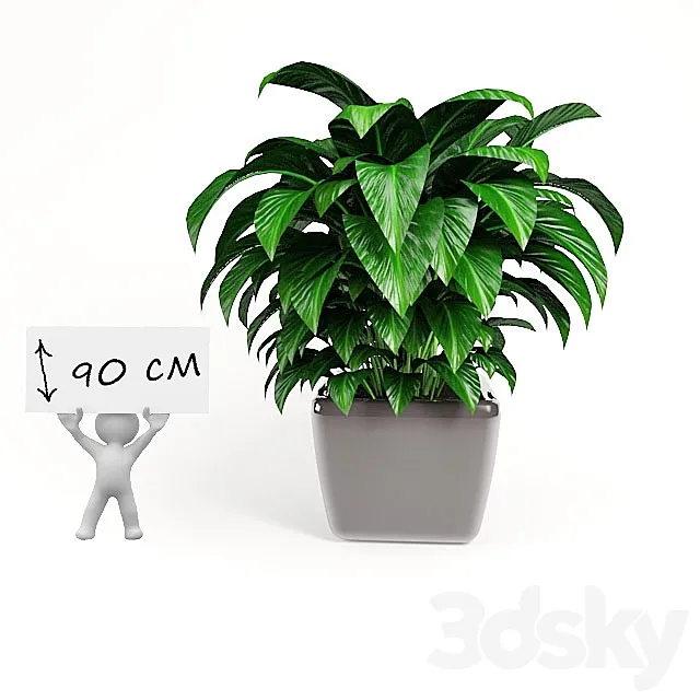 plant 3D Model plant 3D Model